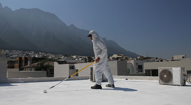 Roof Coating System